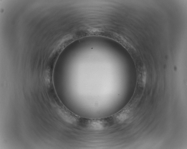 X0000080710710200612151134