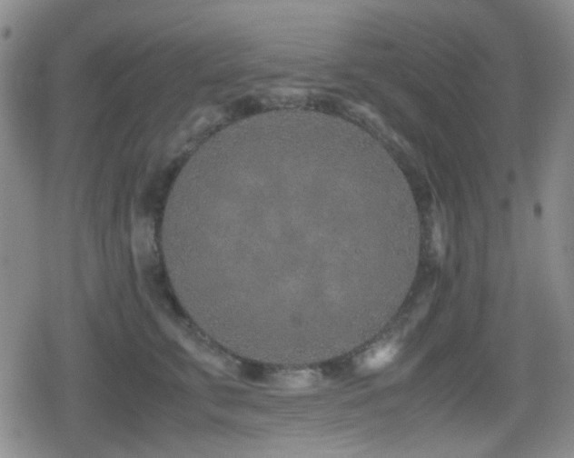 X0000080710711200612151134