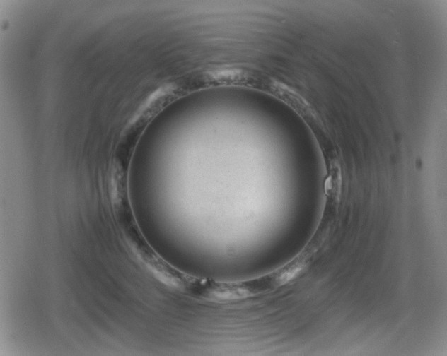 X0000080710712200612151134