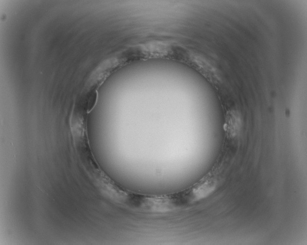 X0000080710713200612151134