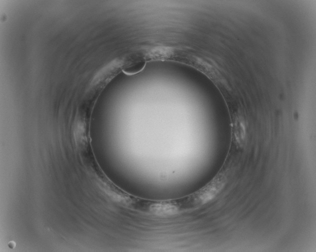 X0000080710714200612151134