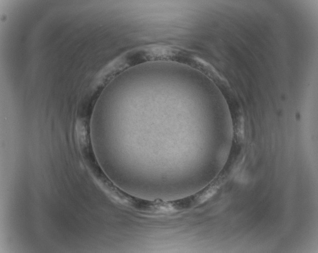 X0000080710715200612151134