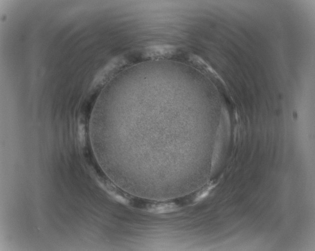 X0000080710716200612151134