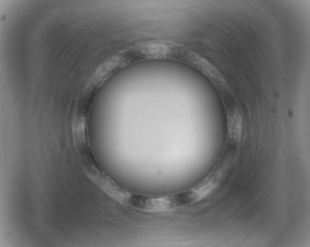 X0000080710717200612151134