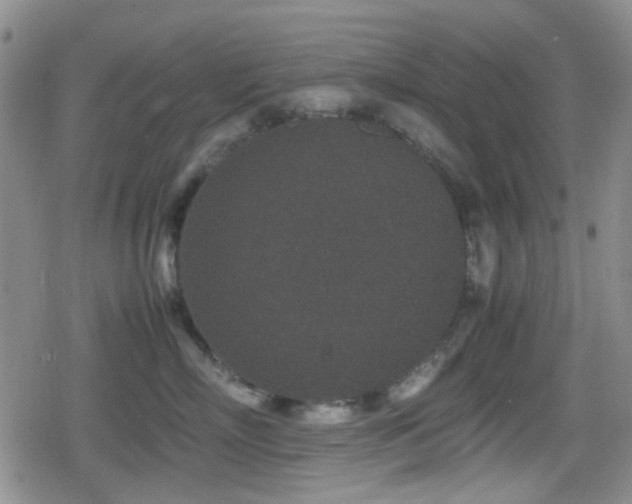 X0000080710718200612151134