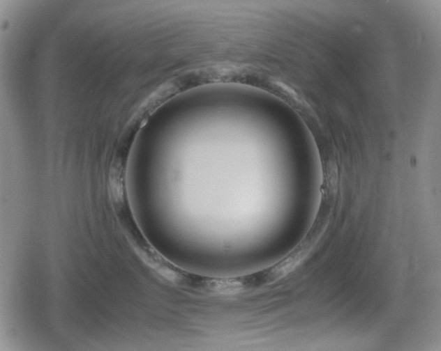 X0000080710719200612151134