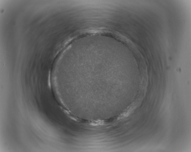 X0000080710720200612151134