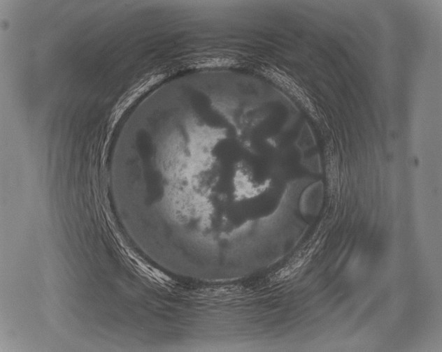 X0000080710721200612151133