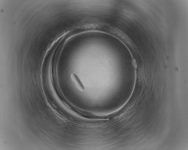 X0000080710722200612151133