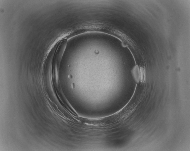 X0000080710723200612151133