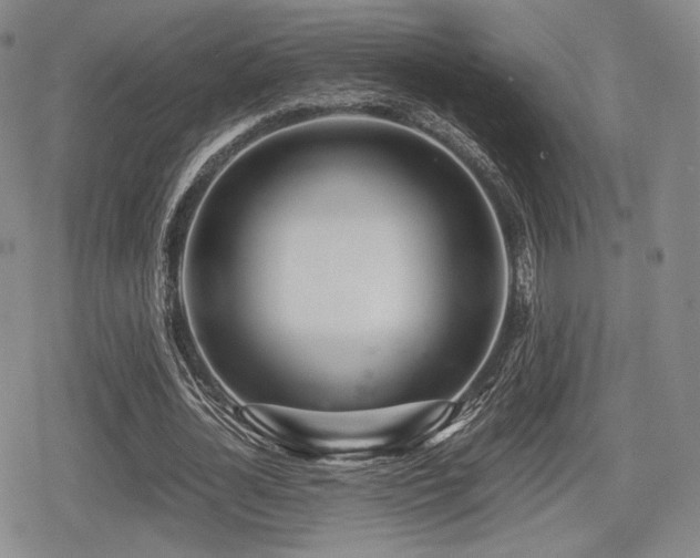 X0000080710724200612151133