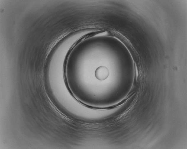 X0000080710725200612151133