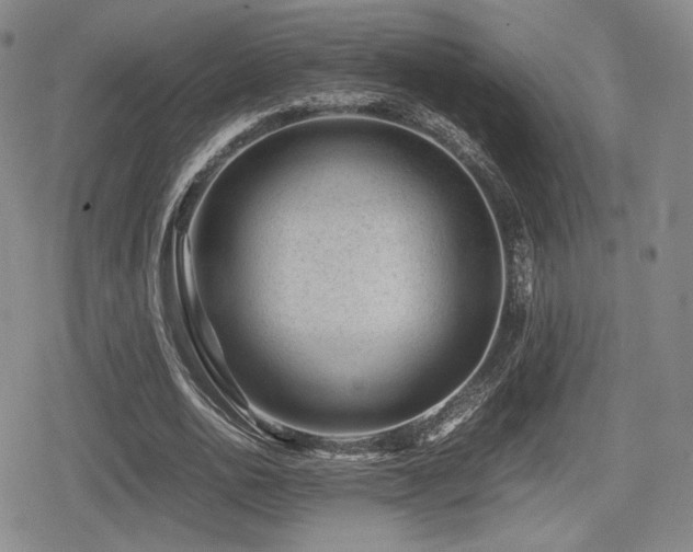 X0000080710726200612151133