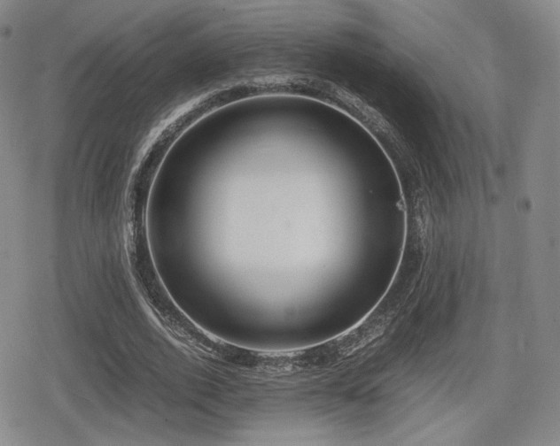 X0000080710728200612151133