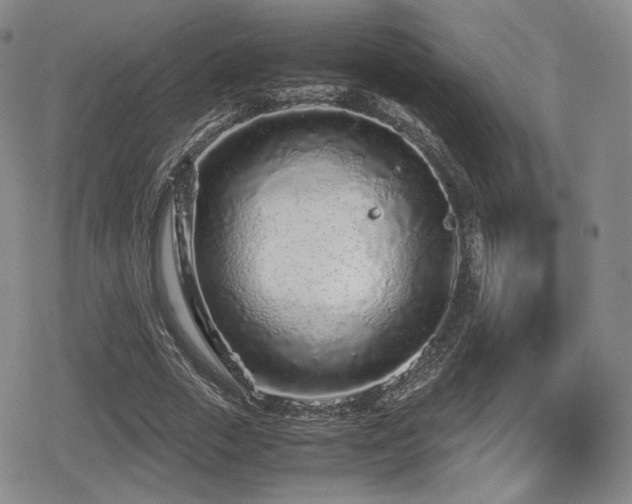 X0000080710729200612151133