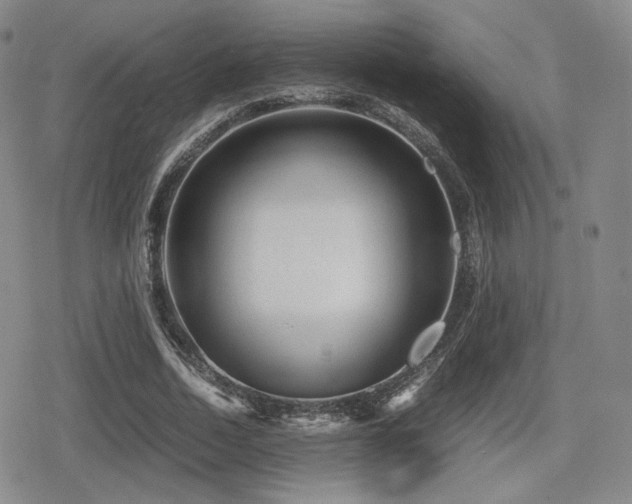 X0000080710730200612151133