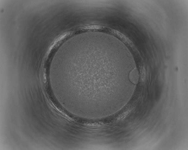 X0000080710731200612151133