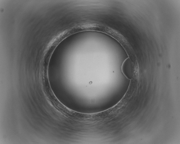 X0000080710732200612151133