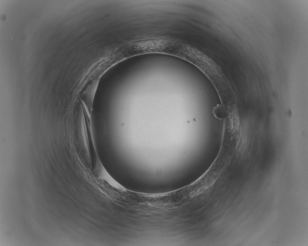 X0000080710733200612151133