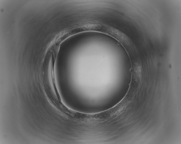 X0000080710734200612151133