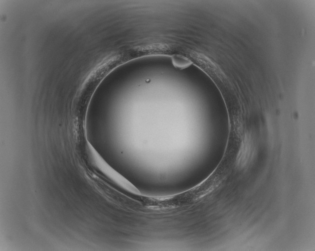 X0000080710735200612151133