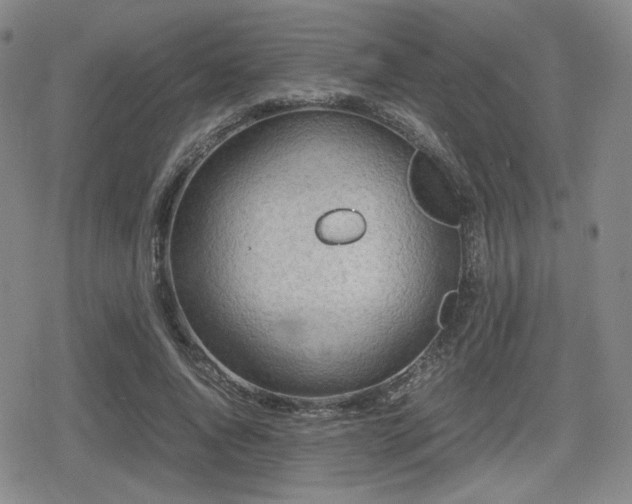 X0000080710736200612151133