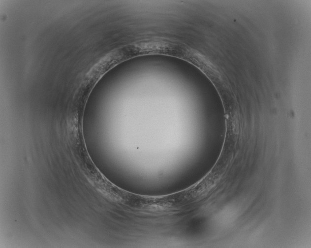 X0000080710737200612151133