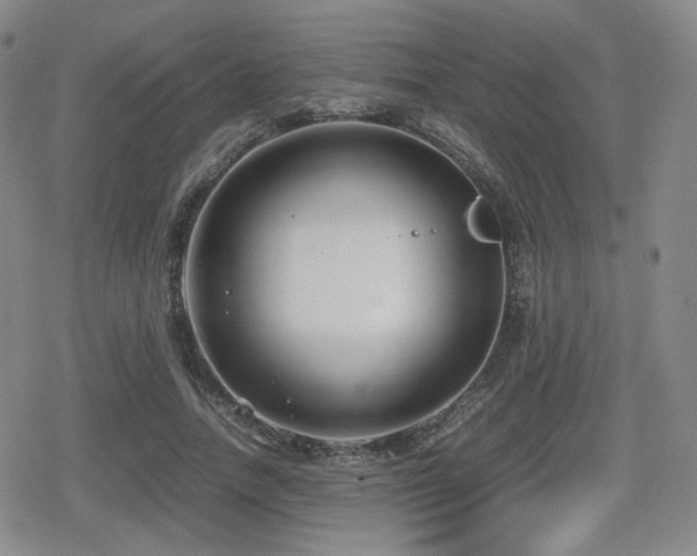 X0000080710738200612151133