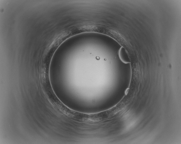 X0000080710739200612151133