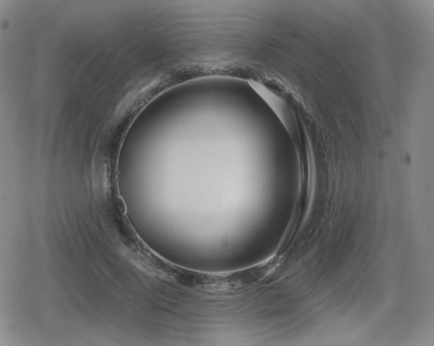 X0000080710740200612151133