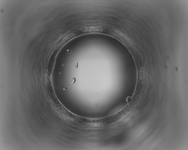 X0000080710741200612151133