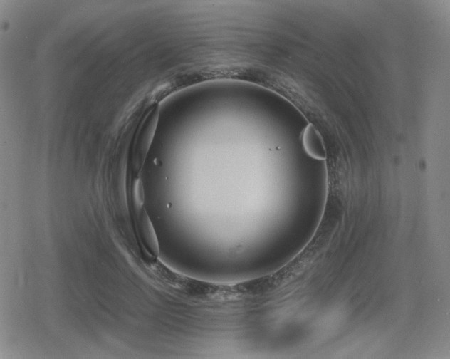 X0000080710742200612151133