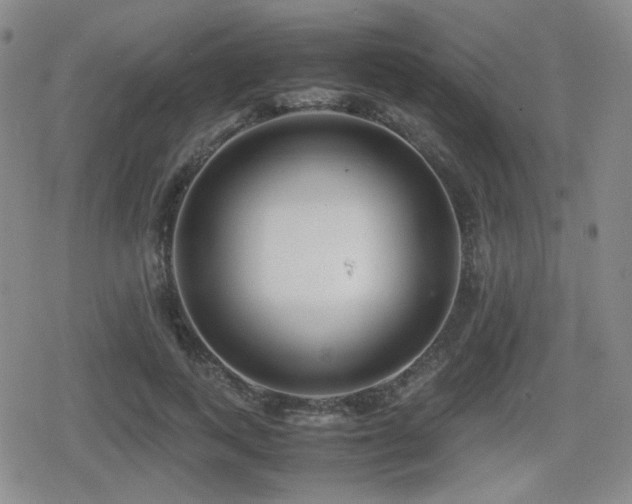 X0000080710743200612151133