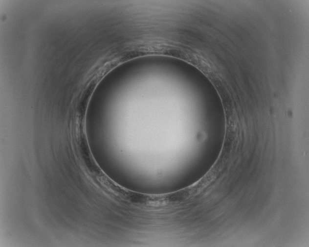 X0000080710744200612151133