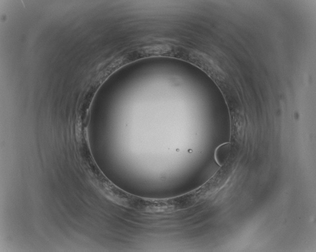 X0000080710745200612151133