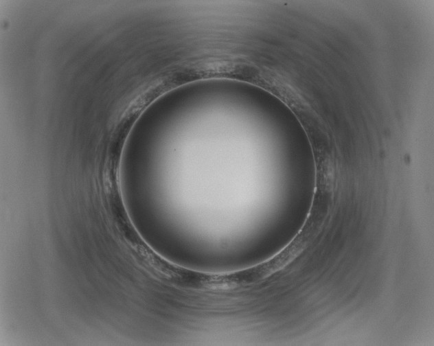 X0000080710746200612151133