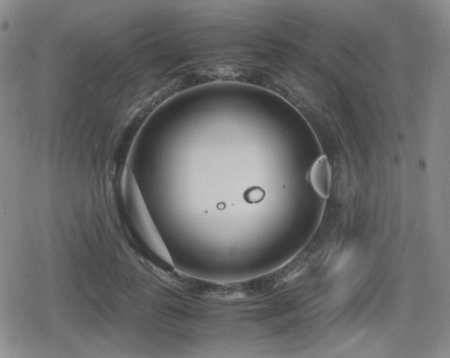 X0000080710747200612151133