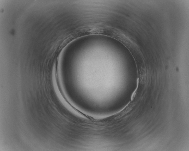 X0000080710748200612151133