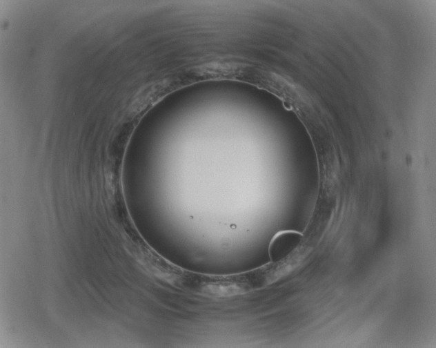 X0000080710749200612151133