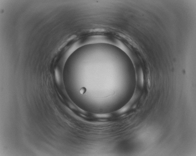 X0000080710750200612151133