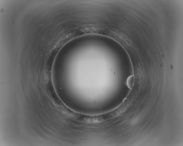 X0000080710751200612151133