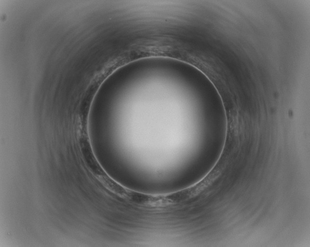 X0000080710752200612151133