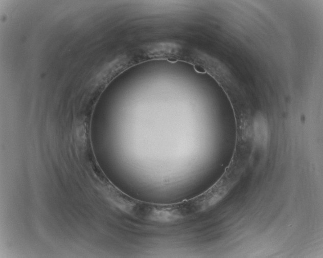 X0000080710753200612151133