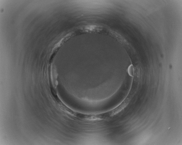 X0000080710754200612151133