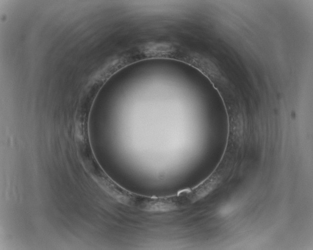 X0000080710755200612151133