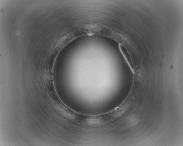 X0000080710756200612151133