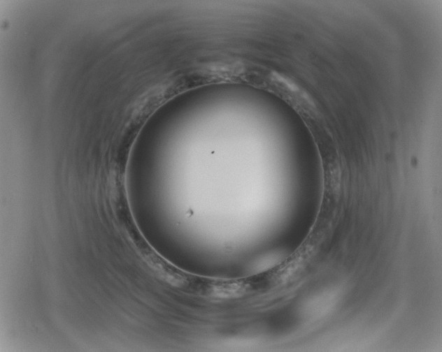 X0000080710757200612151133