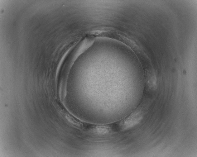 X0000080710758200612151133