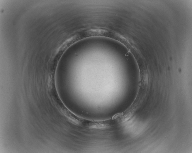 X0000080710759200612151133