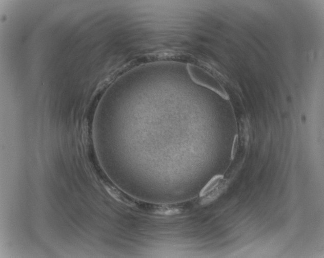 X0000080710760200612151133